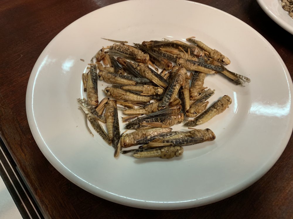 4D7B5F7B-1974-4FE1-BB66-3715F5F82C50