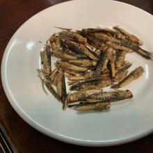 4D7B5F7B-1974-4FE1-BB66-3715F5F82C50