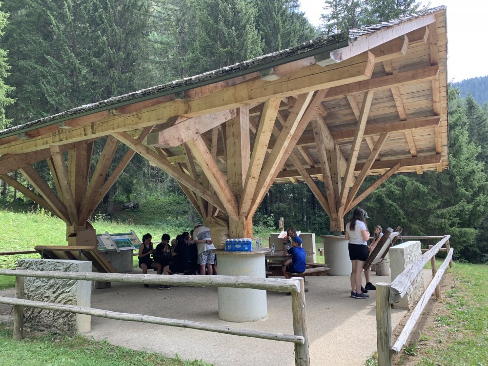 A4ACC355-A9C9-4023-909B-0D89733DA235