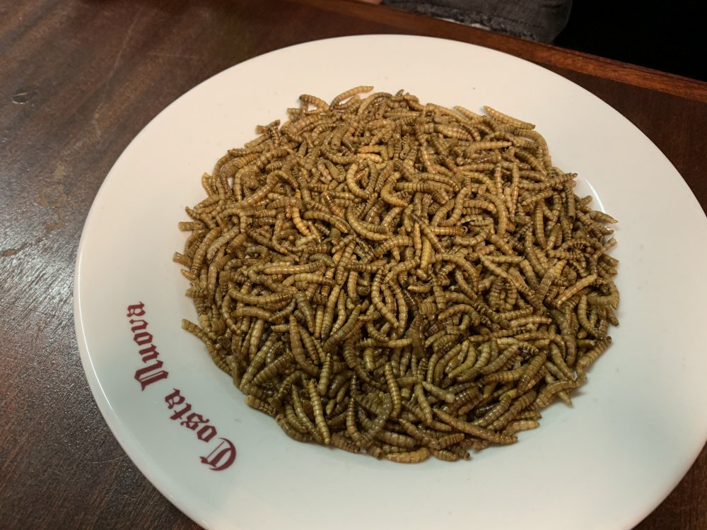 AB0B0F2F-03C8-48E8-BC34-F1254E4ADB23