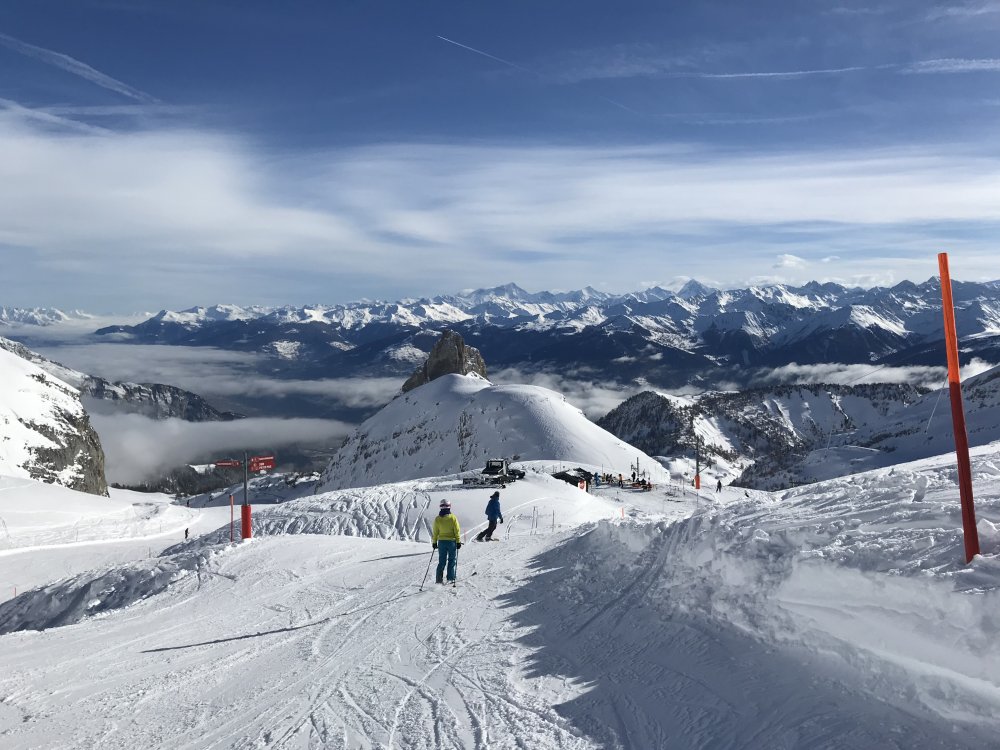 401C01C5-293E-41CC-B822-2346C899F982