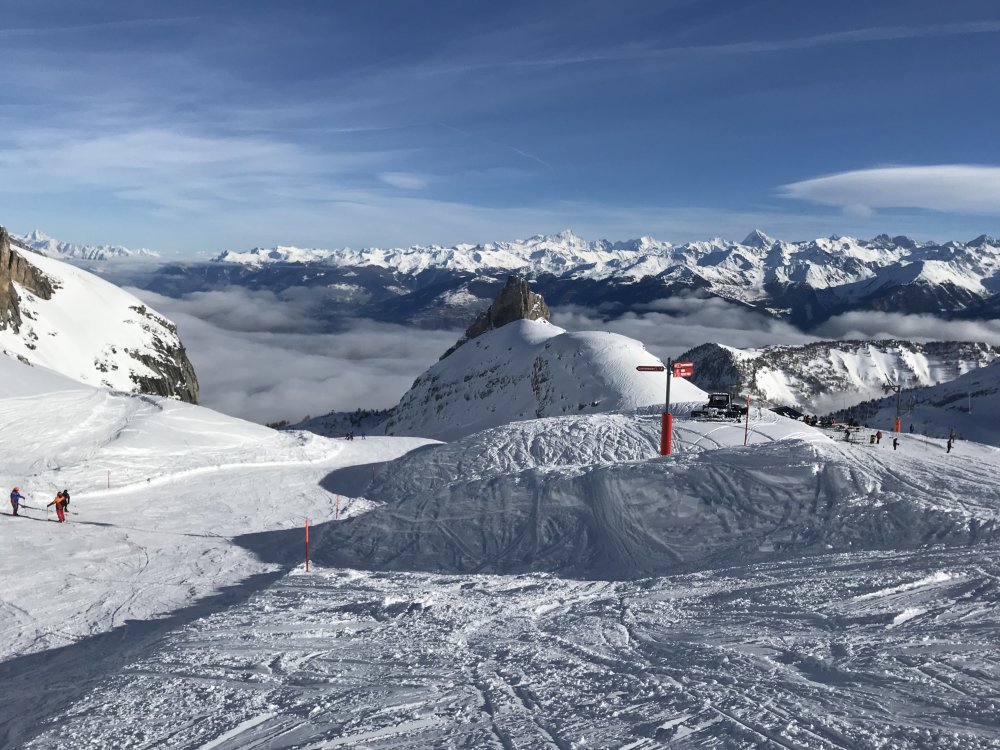 4FA65676-DADF-4036-9263-A0941447D7FC